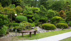 壽庵の店内から望む庭園